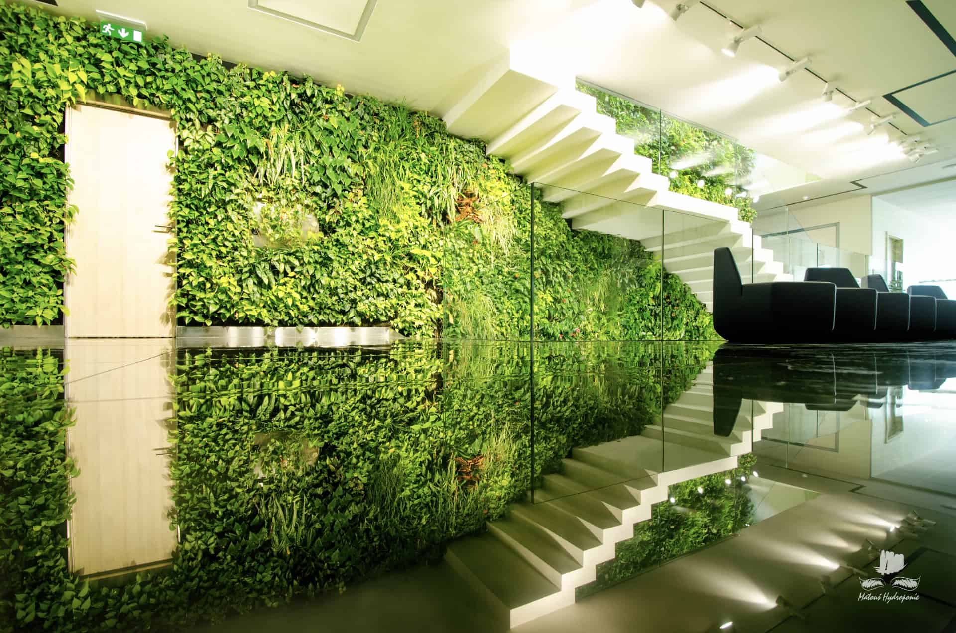hydroponická stěna na chodbě v interiéru moderní firmy