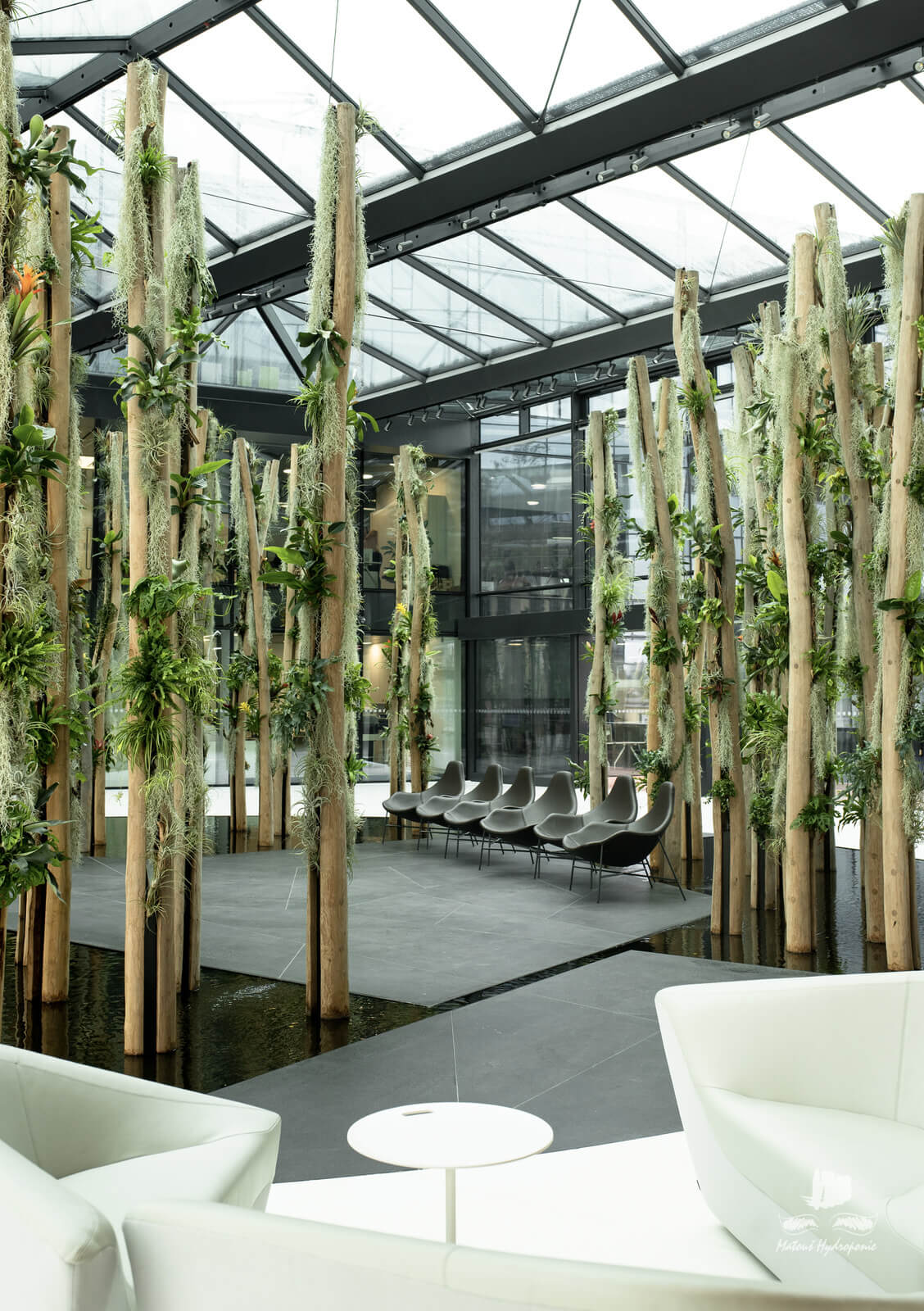 interiér čekárny se vztyčenými dřevinami a hydroponickými rostlinami
